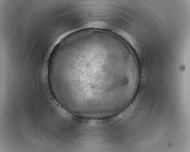 X0000102020923200808011420