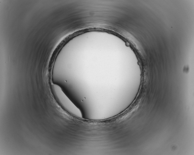 X0000102020924200808011420