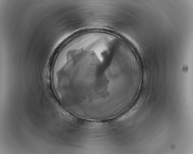 X0000102020925200808011420