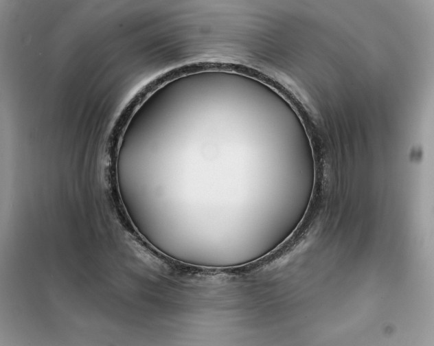 X0000102020926200808011420