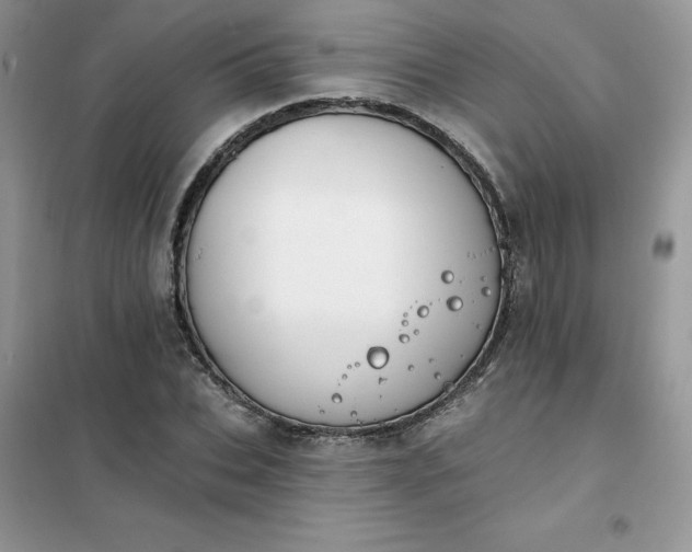 X0000102020927200808011420