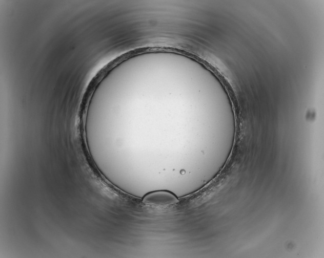 X0000102020928200808011420