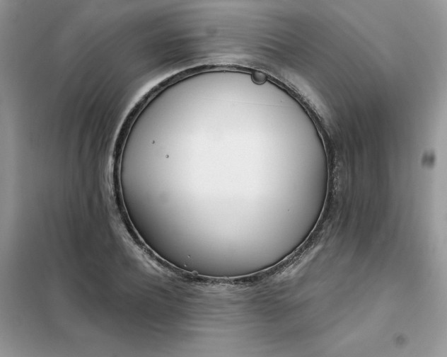 X0000102020932200808011420