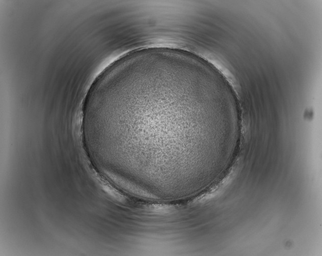 X0000102020933200808011420