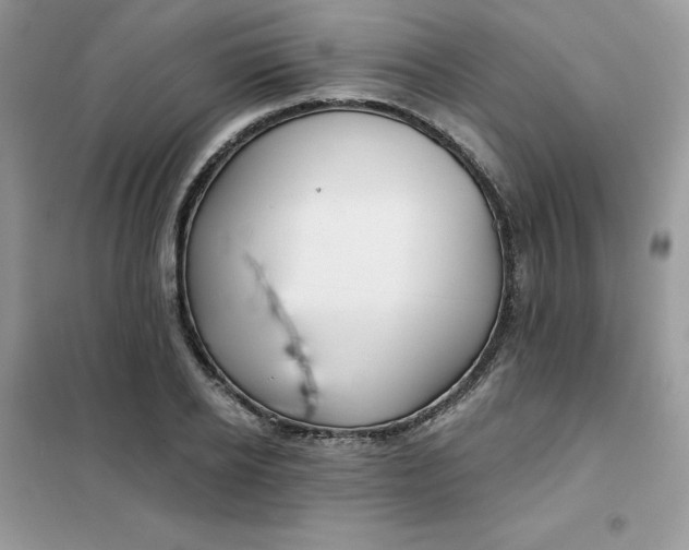 X0000102020934200808011420