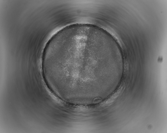 X0000102020935200808011420