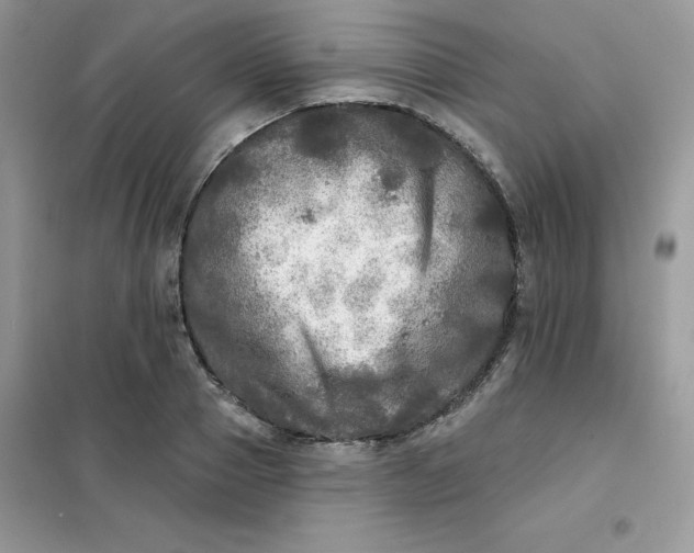 X0000102020937200808011420