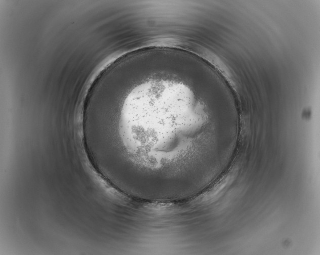 X0000102020939200808011420
