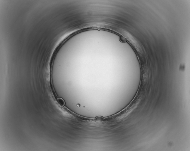 X0000102020940200808011420