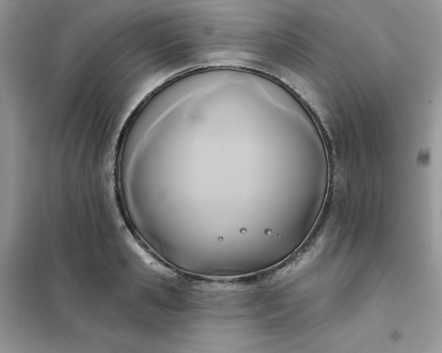 X0000102020941200808011420