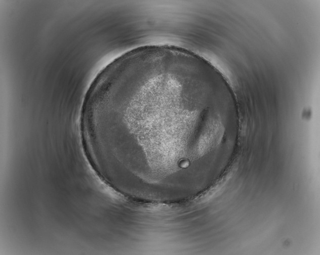 X0000102020943200808011420