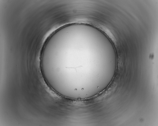 X0000102020944200808011420
