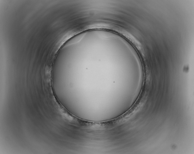 X0000102020945200808011421