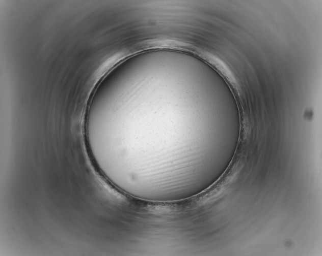 X0000102020946200808011421
