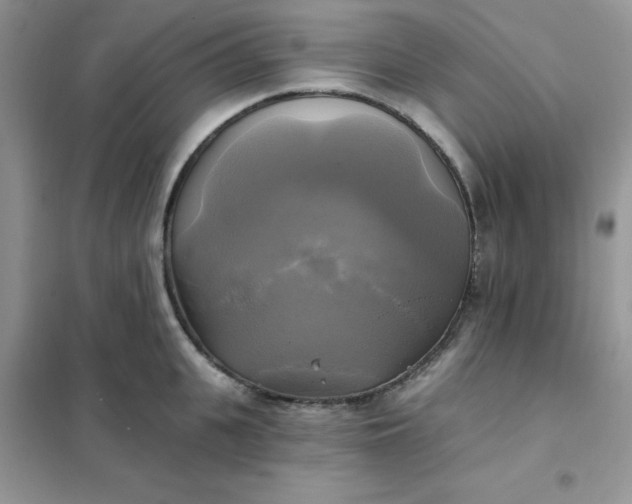 X0000102020951200808011421