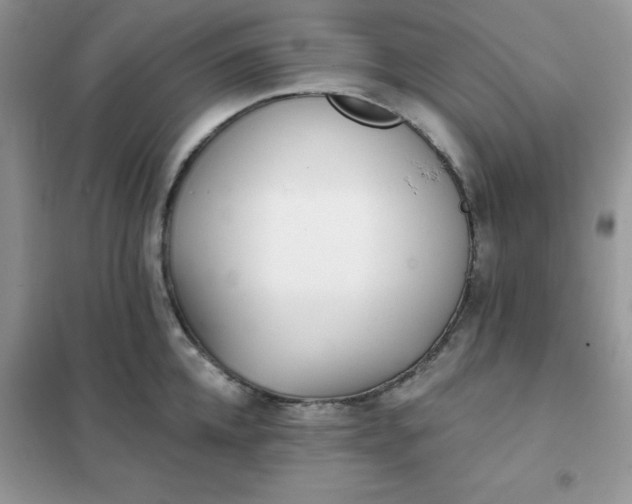 X0000102020952200808011421