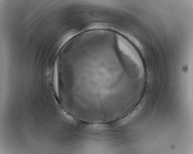 X0000102020953200808011421