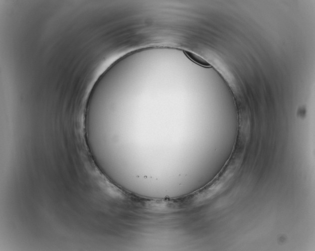 X0000102020956200808011421