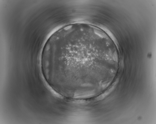X0000102020957200808011421