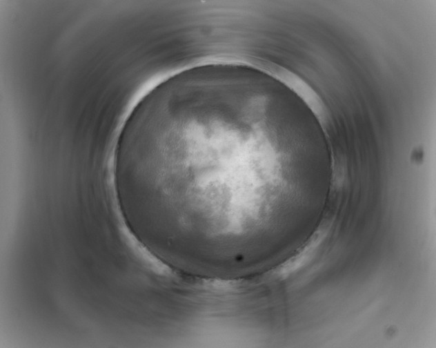 X0000102020958200808011421