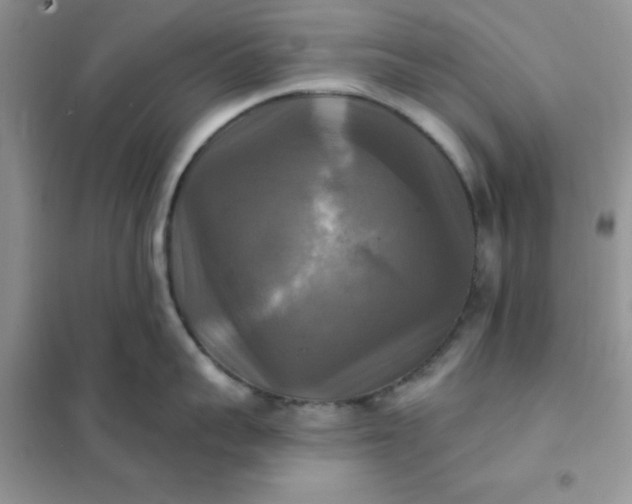 X0000102020959200808011421