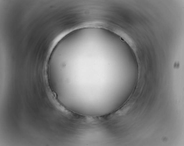 X0000102020960200808011421