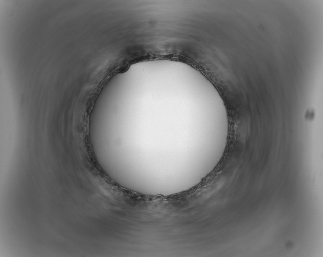 X0000102020961200808011420