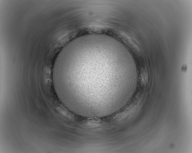 X0000102020964200808011420