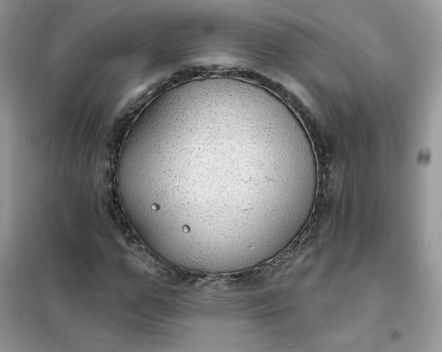 X0000102020967200808011420