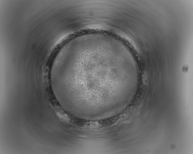 X0000102020968200808011420