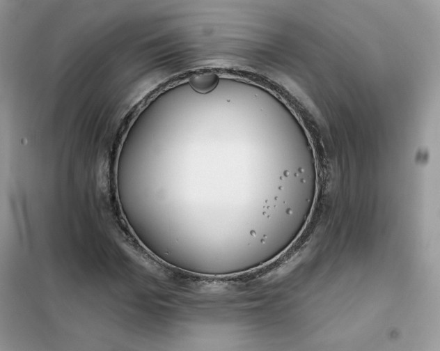 X0000102020969200808011420