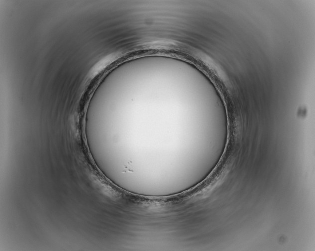 X0000102020970200808011420