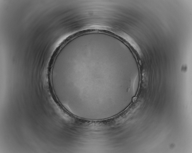 X0000102020972200808011420