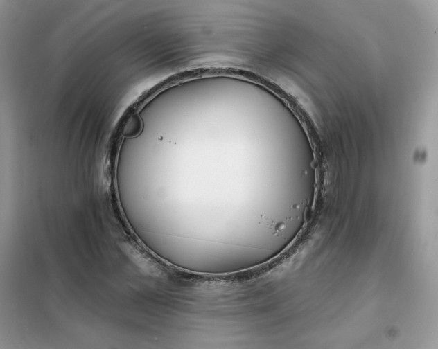 X0000102020973200808011420