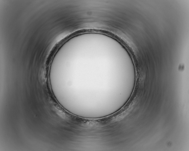 X0000102020974200808011420