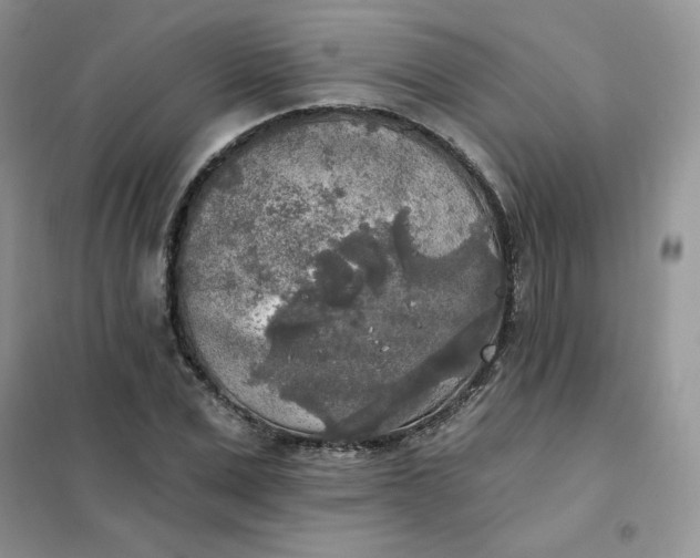 X0000102020975200808011420