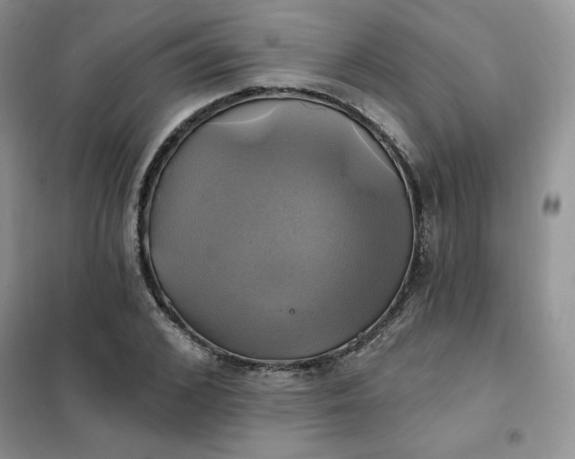 X0000102020976200808011420
