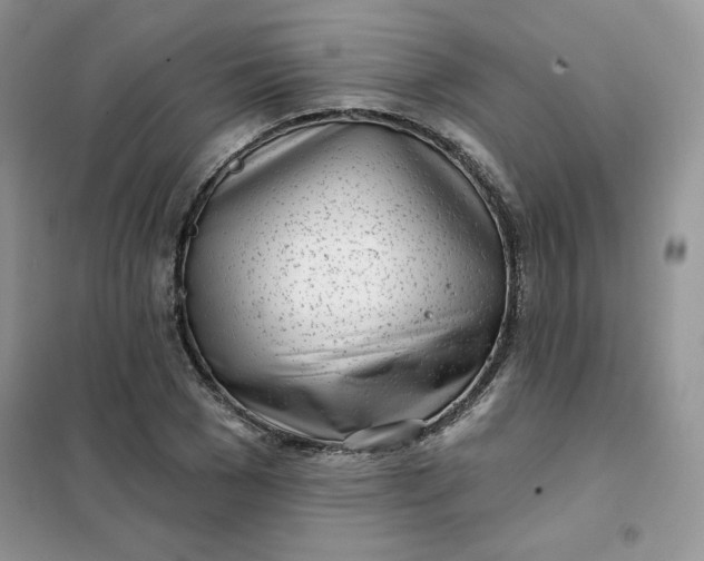 X0000102020977200808011420