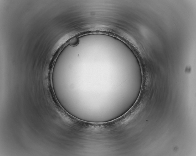 X0000102020978200808011420