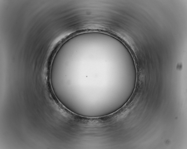 X0000102020979200808011420