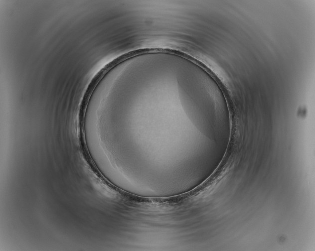 X0000102020980200808011420
