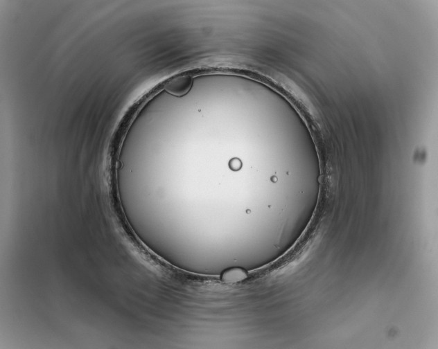 X0000102020981200808011420