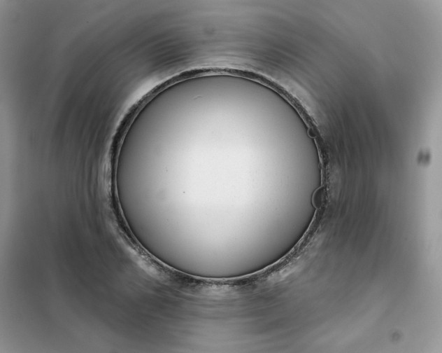 X0000102020982200808011420