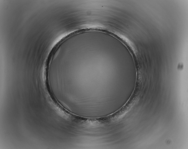 X0000102020983200808011420