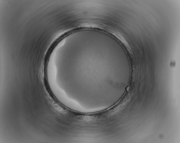 X0000102020984200808011420