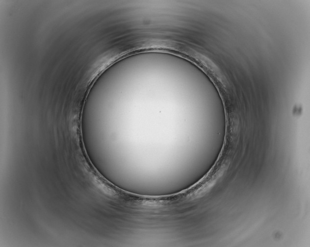 X0000102020985200808011419