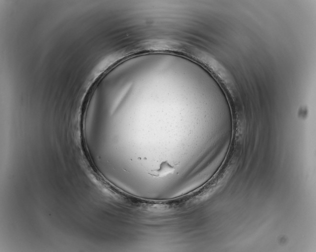 X0000102020986200808011419