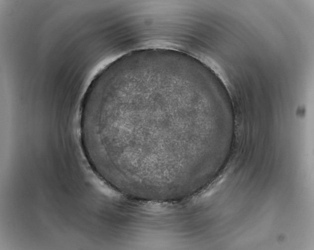 X0000102020987200808011419
