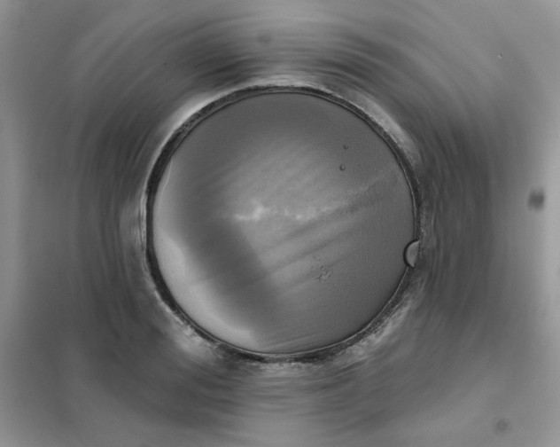 X0000102020988200808011419