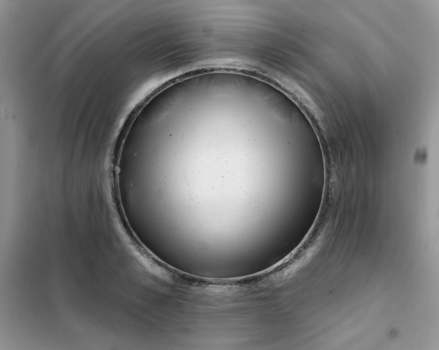 X0000102020989200808011419
